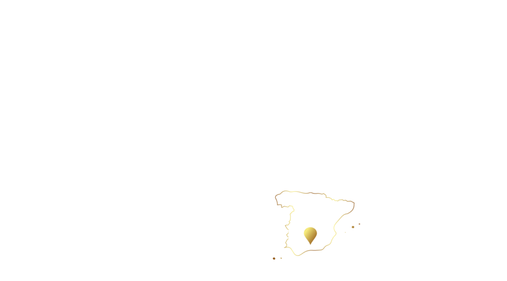 Spanish Origin